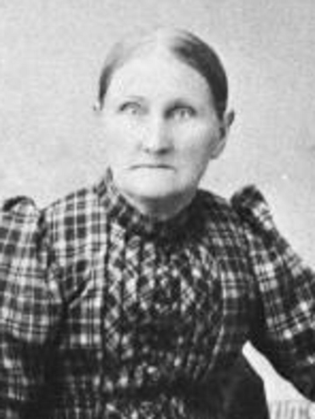 Clarissa Jane Taylor (1845 - 1925) Profile